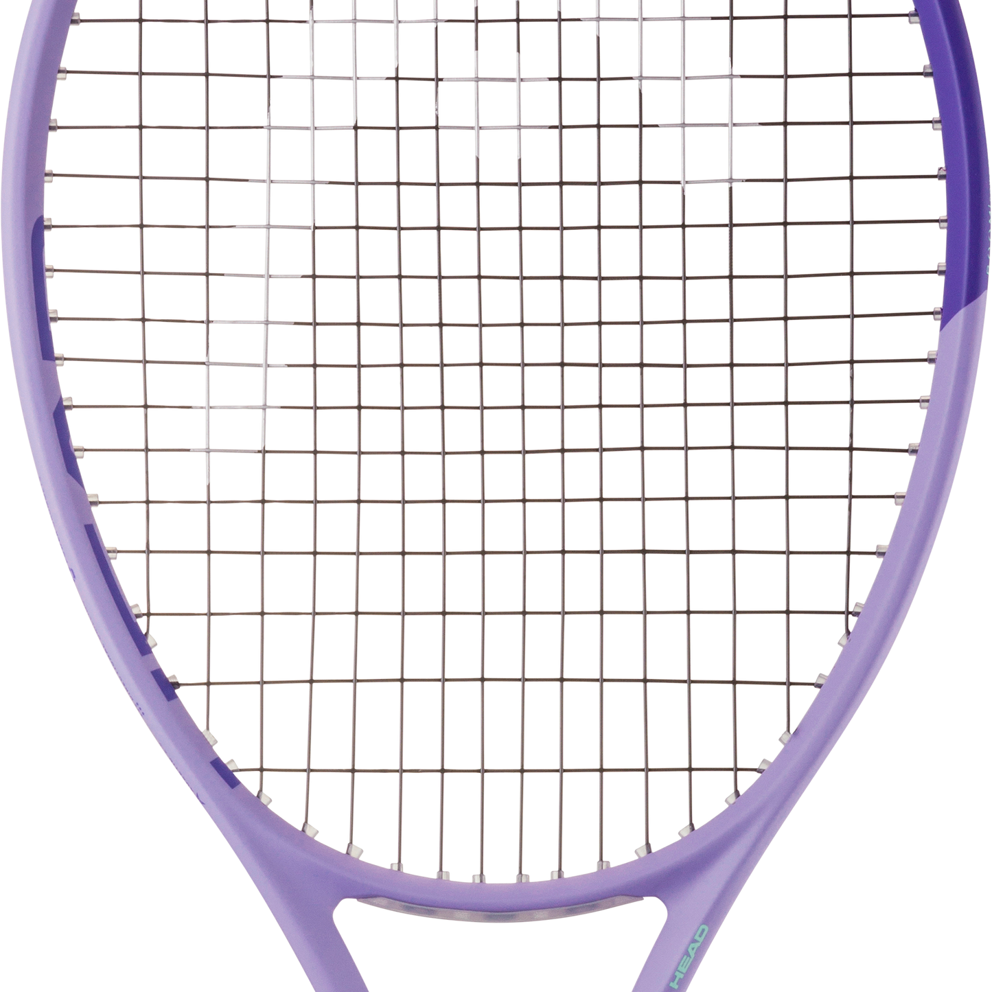 Head Boom MPL 2026